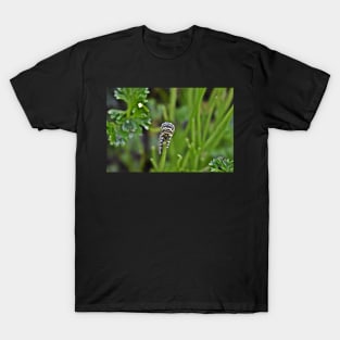 Swallowtail Caterpillar T-Shirt